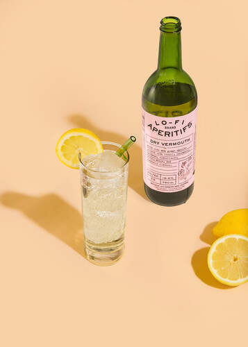 Vermouth and Tonic Image